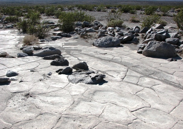 Death Valley National Park - Desert cracks