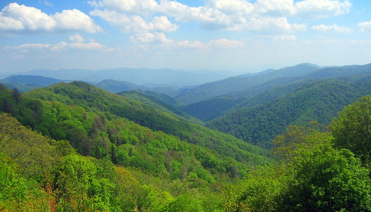 Great Smoky Mountains - Appalachian deciduous forest