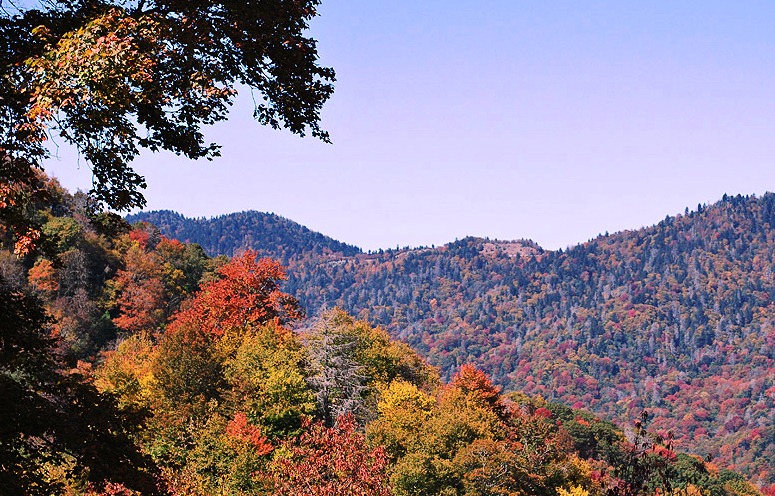 Great Smoky Mountains - Magnificent nature