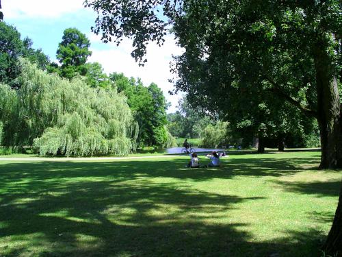 Vondel Park - Beautiful landscape