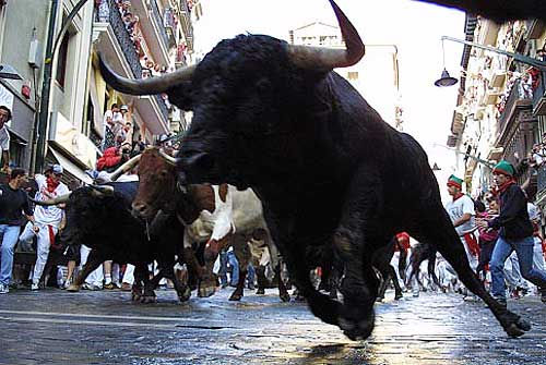 Spain - Bulls at Pumplona