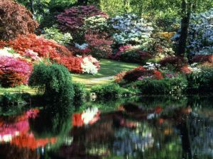 Exbury Gardens in UK