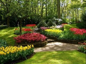 Holland's Keukenhof Gardens