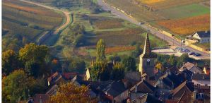 Vineyard areas in France