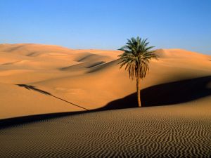 Sahara in Libya