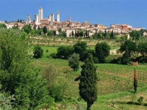 San Gimignano Wine Tour