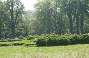 The Botanical Garden