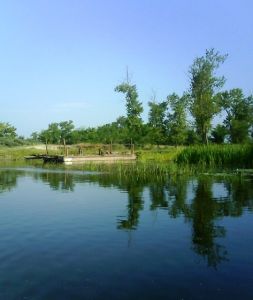 Danube Delta