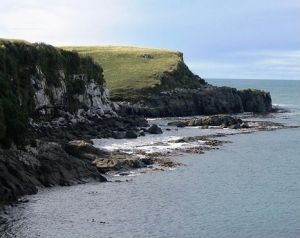   The Catlins Coast