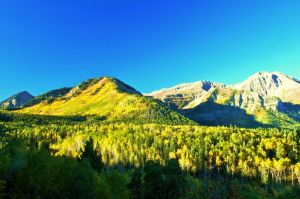 The Wasatch Mountain State Park 
