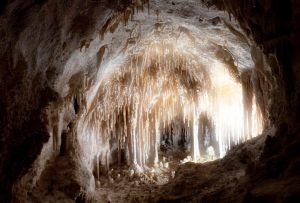 Carlsbad Caverns National Park