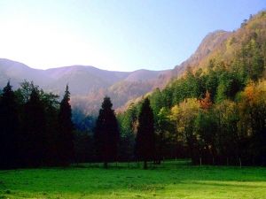 Foreste Casentinesi, Mount Falterona and Campigna National Park