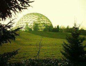 The Botanical Garden Dusseldorf 