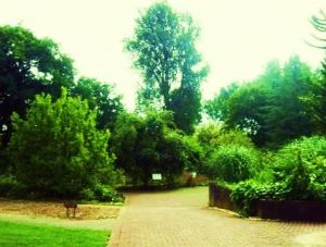 The Botanical Garden Dusseldorf 