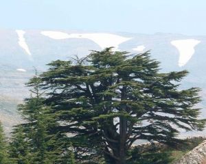 Lebanon-one of the best touristic attractions of the world
