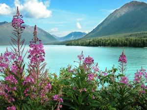 Talkeetna