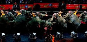 Heavenly show from China  – the most amazing circus