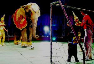 Heavenly show from China  – the most amazing circus