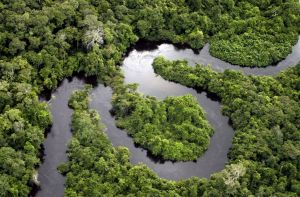 The Amazon River