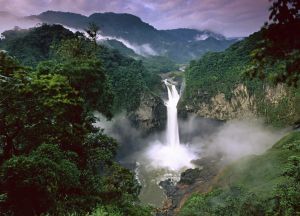 The Amazon River