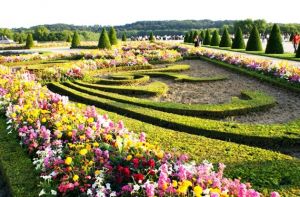The Versailles Gardens
