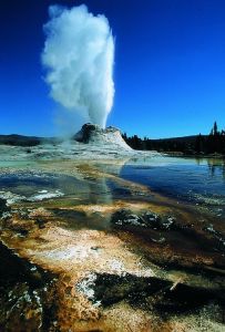 The Castle Geyser, Yellowstone National Park