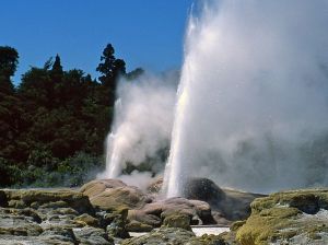  Prince of Wales Feathers Geyser, New Zealand