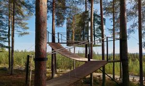 Tree hotel, Sweden