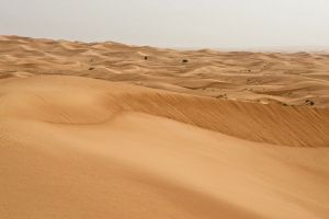The Arabian Desert 