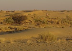 The Thar Desert 