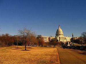 The Capitol, Washington D.C.