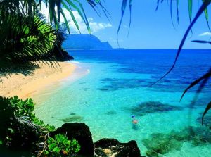 The Hawaii Island