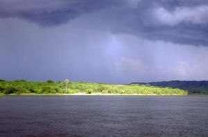  Bwindi Impenetrable National Park, Uganda