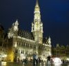 Brussels City Hall view