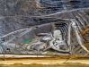 picture Inside the career  The Bingham Canyon Mine, Utah, USA