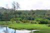 picture Greenish landscape Colombia