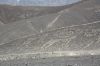 Nazca lines view