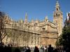 Cathedral of Sevilla view