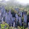 Image Gunung Mulu National Park - Top wonders of the world 