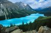 picture Idyllic scenery Peyto Lake in Canada
