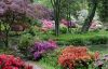 picture Great panorama Exbury Gardens in UK