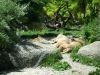 Lions at Basel Zoo