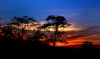 Beautiful sunset on Kaziranga National Park