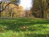 picture Beautiful landscape Sofiyivsky Park