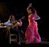 picture Passion and love Flamenco in Sevilla, Spain