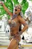 picture Colourful festival Rio de Janeiro Carnival, Brazil