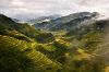 picture Aerial view Banaue Rice Terraces in Philippines