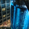 Image The AquaDom in Berlin, Germany - The most beautiful aquariums in the world 