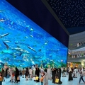 Image Dubai Aquarium & Discovery Centre, United Arab Emirates - The most beautiful aquariums in the world 