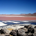 Image Red Lagoon in Bolivia  - The most unique lakes in the world